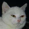 2571