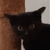 4216