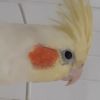 4537