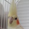4593